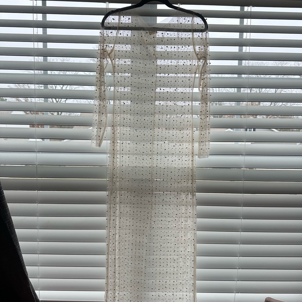 Sheer Dress with pearls